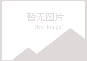 南宁邕宁夏岚咨询有限公司